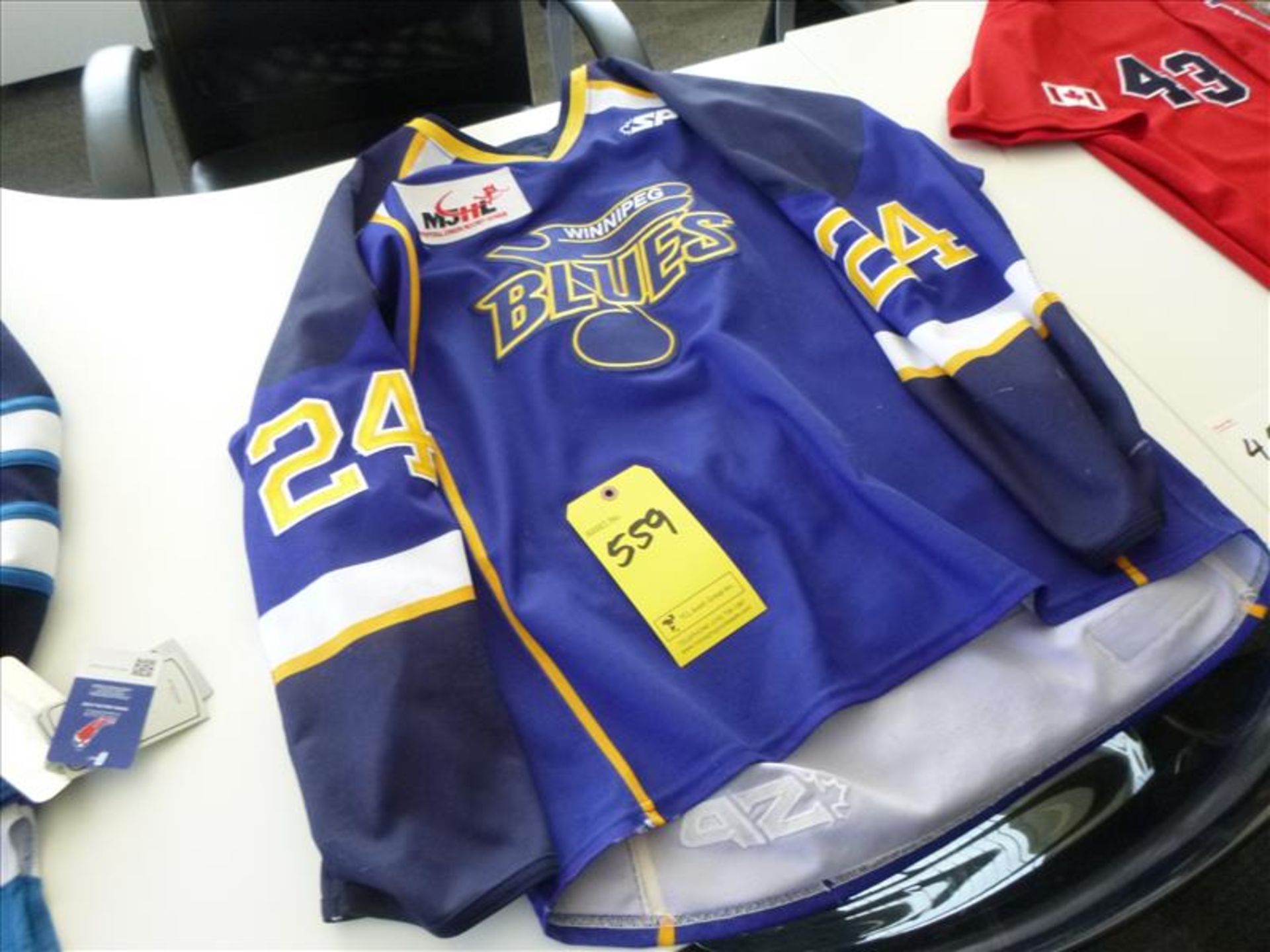 Winnipeg Blues jersey, no. 24