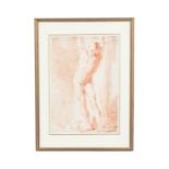 Italian School (18th century) Male study Red chalk drawing 42cm x 29cm