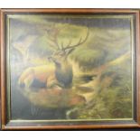 Oil on canvas, stag in landscape, indistinctly signed, 50 by 59cm.