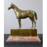 A bronze horse, signed Andre, raised on a marble plinth.