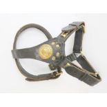 A vintage leather Staffordshire dog harness.