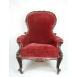 A Victorian mahogany red velvet upholstered armchair, raised on short cabriole legs.
