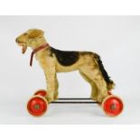 A Steiff barking dog, bearing original tag in one ear, raised on wheels.