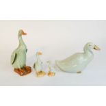 Four Chinese pottery ducks, 20cm high.