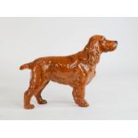 A Beswick brown cocker spaniel, 14cm high.