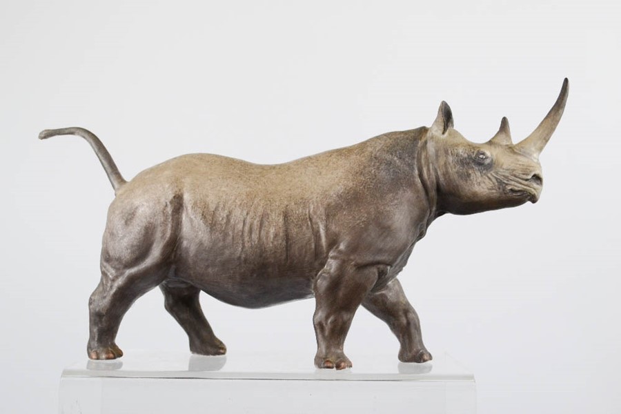 A Coalport model of a Rhinoceros, 13cm high.