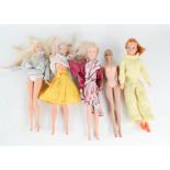 A group of five Barbie dolls.