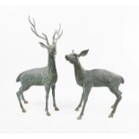 Two bronzed green patinated deer, tallest 76cm high.