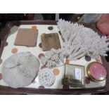 A group of compacts and examples of coral.
