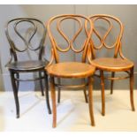 Three bentwood chairs.