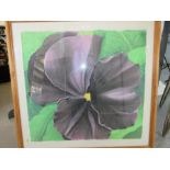 LAR '88, black pansy, pastel on paper.