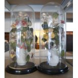 A pair of Victorian glass globes covering Parian ware vases with silk flower arrangements.