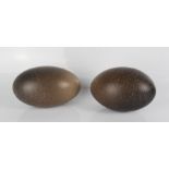 Two Emu eggs.