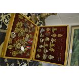 A collection of medals and badges in a box.
