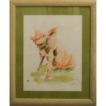 Watercolour depicting a pig, indistinctly signed Angela Heton?