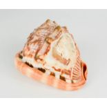 A hand carved Italian conch shell, a cameo female portrait.