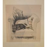 Louis Wain, portrait of two dogs in a chair, colour print.