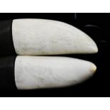 A pair of Scrimshaw style whale teeth, 16.5cm high.