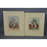 Two comical 19th century hand coloured prints depicting ferrets; The Attentive Physician and The