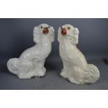 A pair of 19th century Staffordshire dogs.