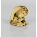 A resin netsuke monkey engraved with detail, 3cm high.