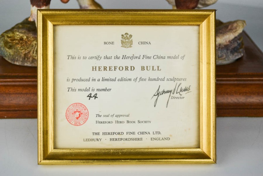 A Hereford Bull, limited edition, with certificate of authenticity, 19cm high. - Image 2 of 2
