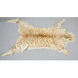 A Leopard skin rug. A/F