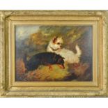 A 19th century oil on canvas depicting two dogs.