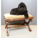 A 19th century mahogany stool with velvet upholstered drop in top, scroll frame, 38cm 60 by 51cm.