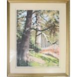 A pastel on paper depicting Clumber park forest scene, initialled AP, dated 1988, 49 by 37cm.