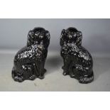 A pair of black Staffordshire style spaniels, 31cm high.