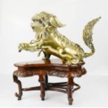 A late 18th century Chinese dog of fo / temple lion, raised on a wooden carved stand.