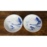 A pair of Chinese blue and white dishes.