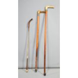 Two walking sticks, one with horn handle, one with silver collar and a Jeffries horse whip.