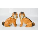 A pair of 19th century ceramic pug dogs, with bow and bell collars, 13cm high.