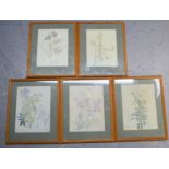 A set of five prints of Rennie Mackintosh watercolours; botanical studies.