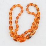 An amber necklace, with graduated beads.