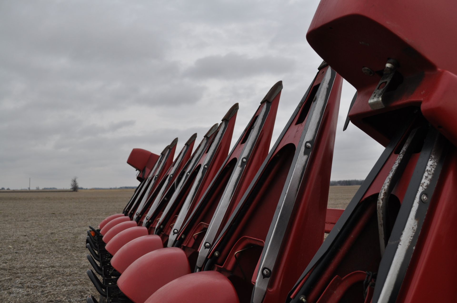 2009 Case IH 3208 corn head, poly, knife rolls, hyd deck plates, header height, SN Y9S019566 - Image 13 of 17