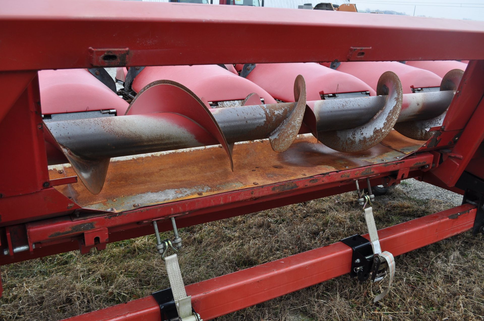 CASE IH 2208 Poly Corn Head, 8 rows x 30”, hyd deck plates, knife rolls, poly, 3 header height - Image 7 of 16