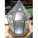 Octagonal leaded perspex vivarium on wooden plinth.