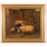 19TH CENTURY SCHOOL Pigs and Cockerels Oil on canvas 29cm x 34cm