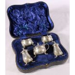 Cased silver five piece condiment set, each piece on lion head and claw supports with glass