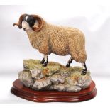 Border Fine Arts model, 'Blackie Tup', no. 440/1750, by Ray Ayres, June '99, with certificate BO354.