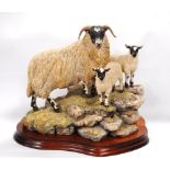 Border Fine Arts model, 'Ewe and a Pair', no. 75/1750, by Ray Ayres, with certificate BO238.