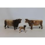 Three Beswick figures: Dairy Shorthorn Bull Ch. "Gwersylt Lord Oxford 74th", no. 1504, 13cm high;