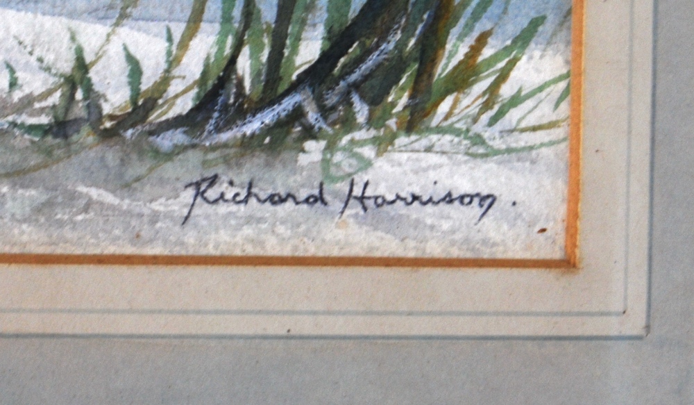 RICHARD HARRISONSnipeSigned bottom right, watercolour, 38cm x 29cm. - Image 3 of 3