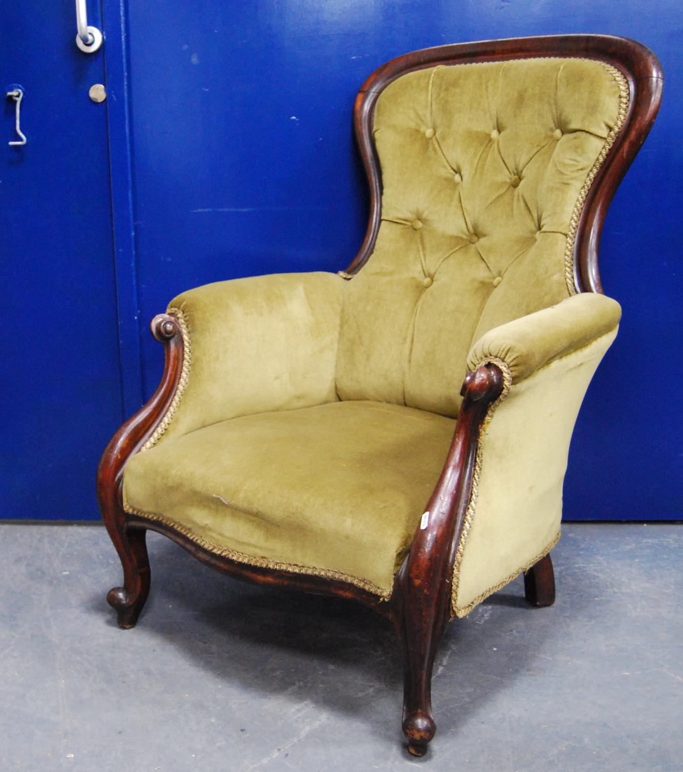 Victorian mahogany button-back armchair in green velour with moulded frame, scroll arms and cabriole