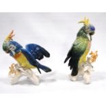 Pair of porcelain cockatoos by Karl Ens Volkstedt, 27cm high.