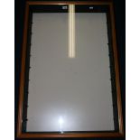 Wall display cabinet with adjustable glass shelves, 95cm x 64cm