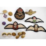 Collection of cloth air force wings, brass cap badge, various other badges and buttons.